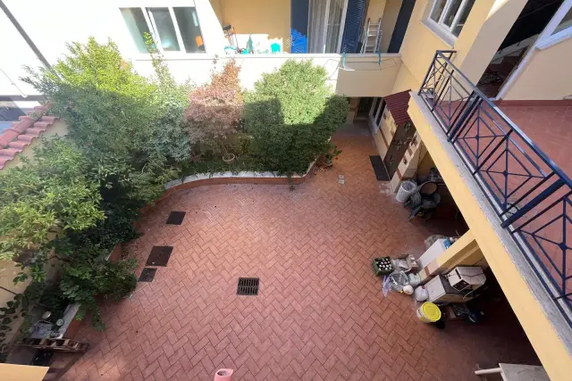 insertion image