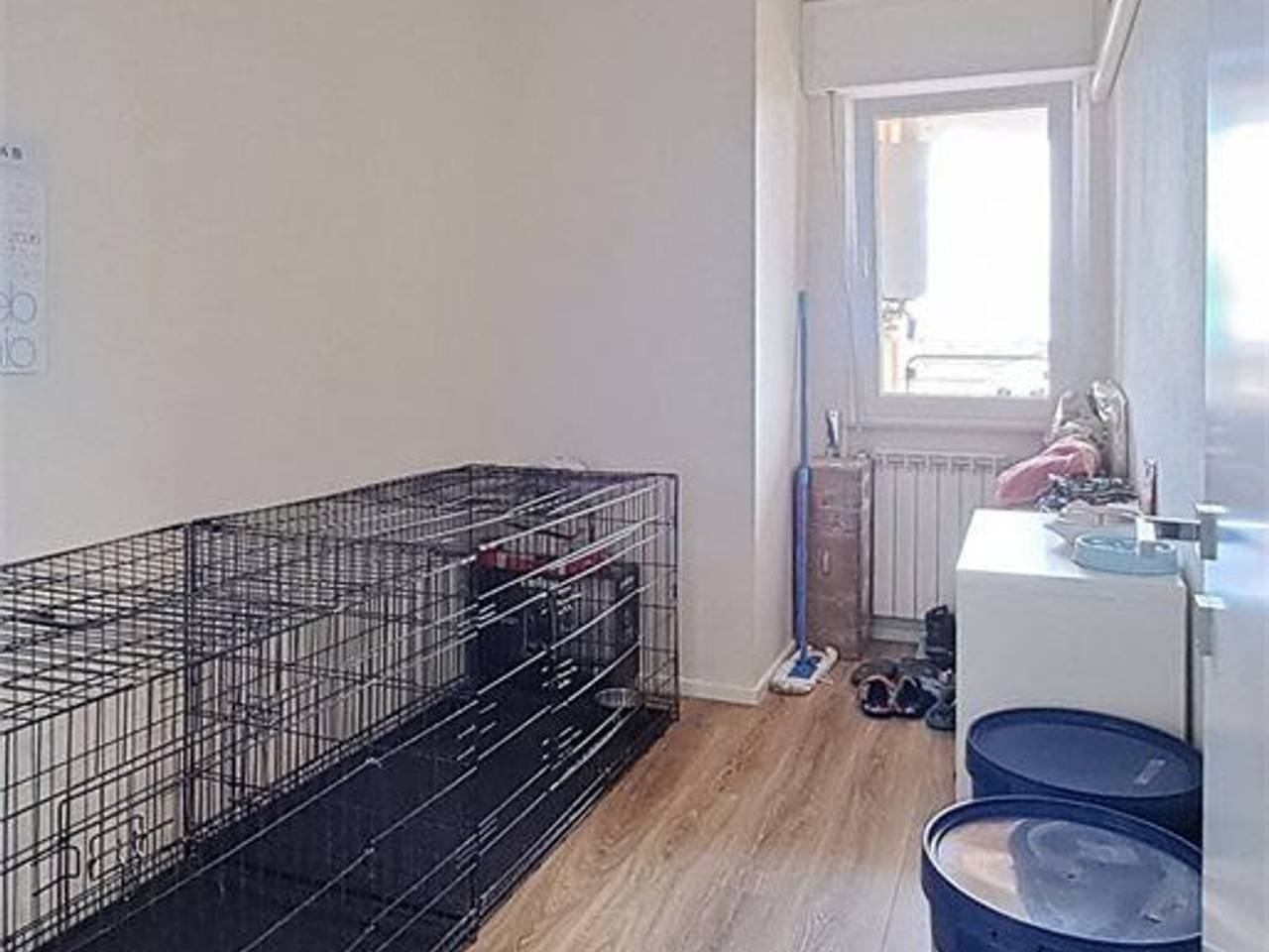 immagine annuncio 11 di 14