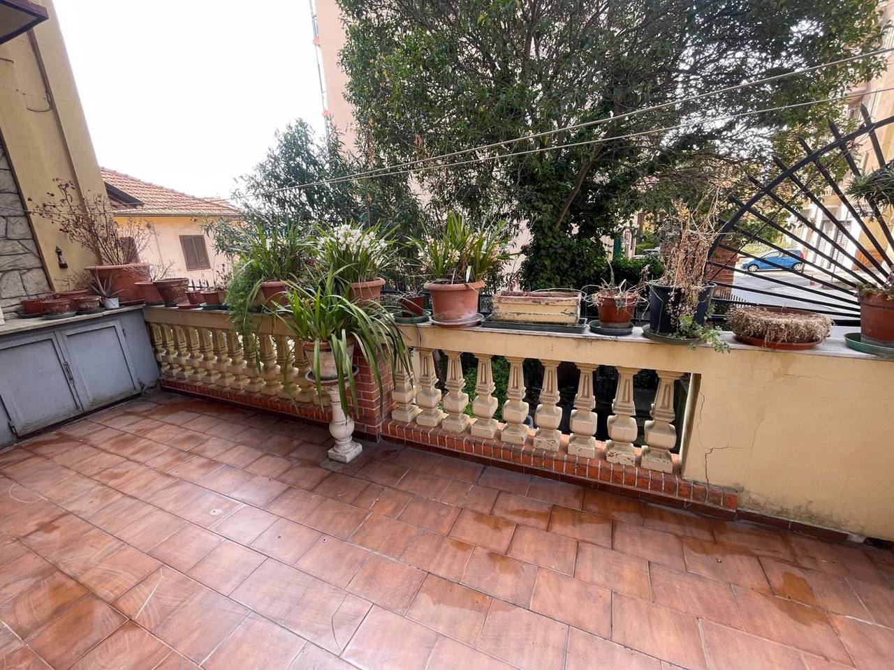 immagine annuncio 11 di 14