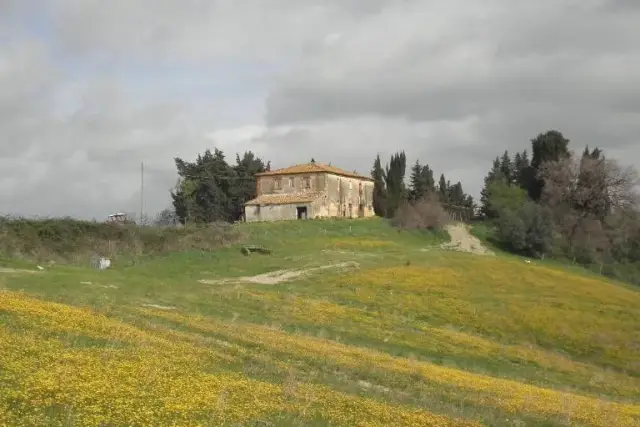 Negozio in vendita, Pomarance - Foto 1