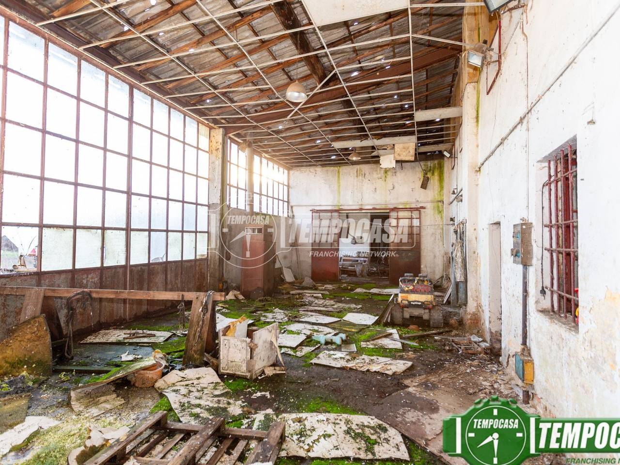 immagine annuncio 8 di 11