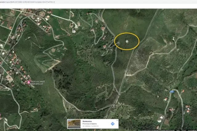 insertion image