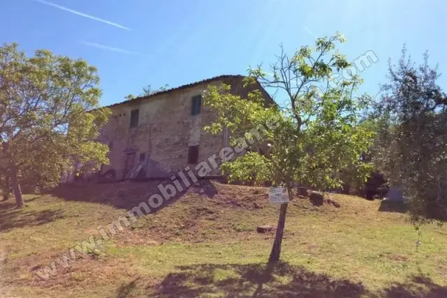 Rustico, Amelia - Foto 1