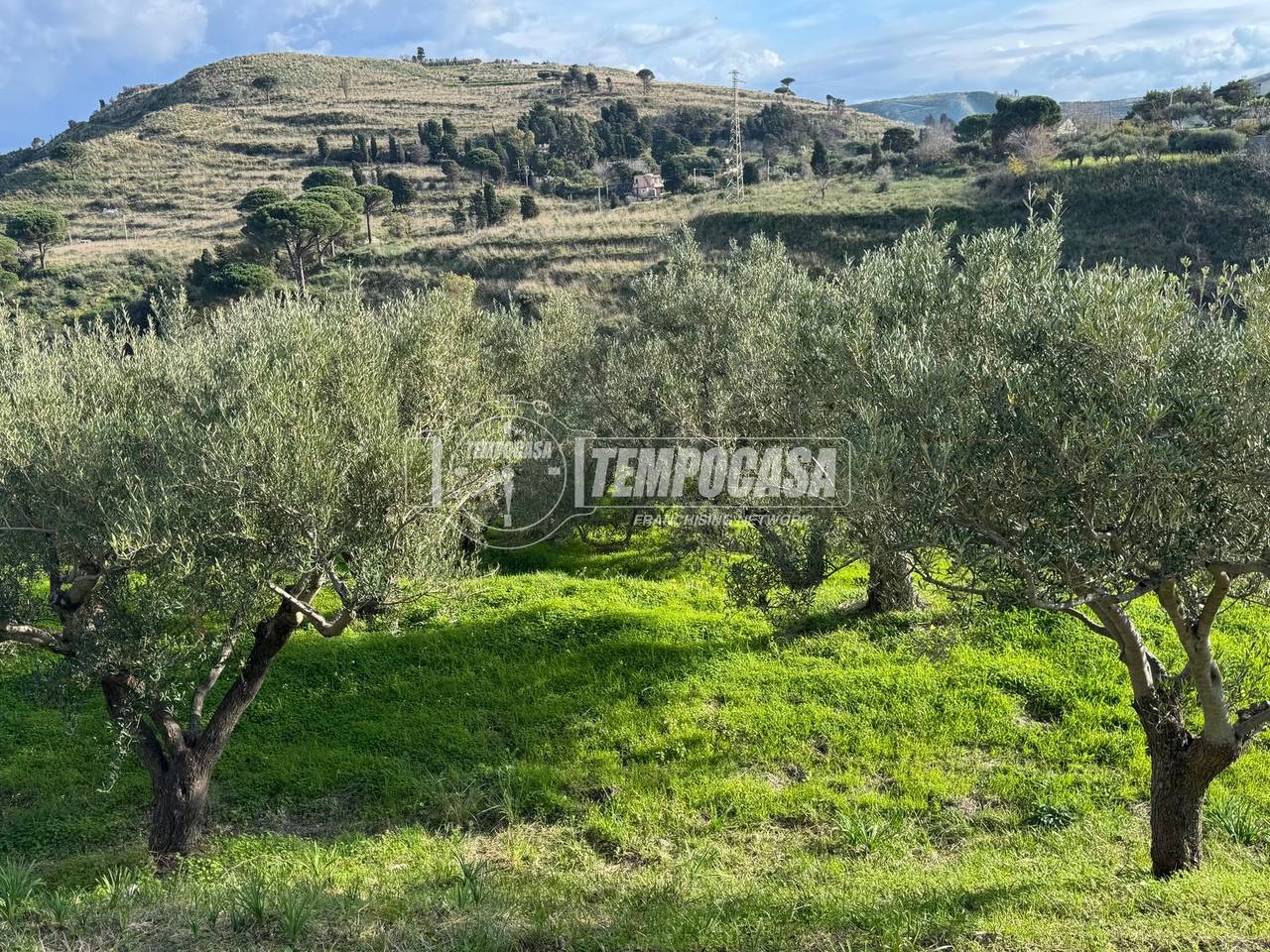 immagine annuncio 4 di 11