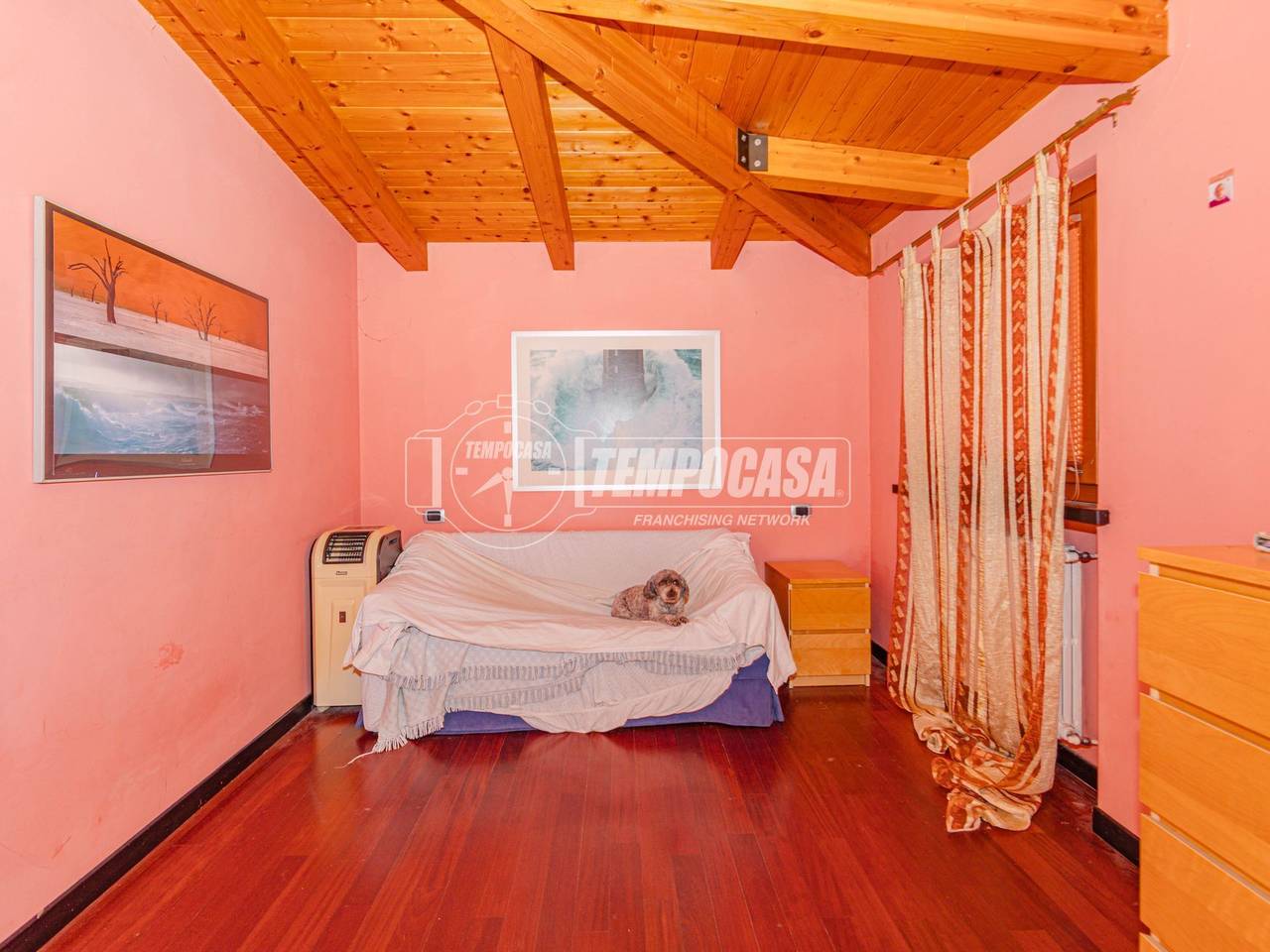 immagine annuncio 2 di 11