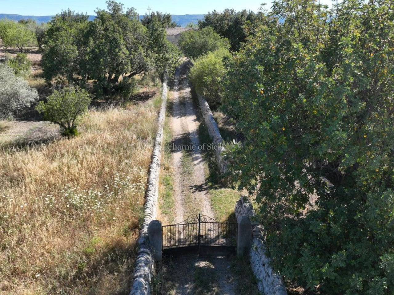 immagine annuncio 4 di 8