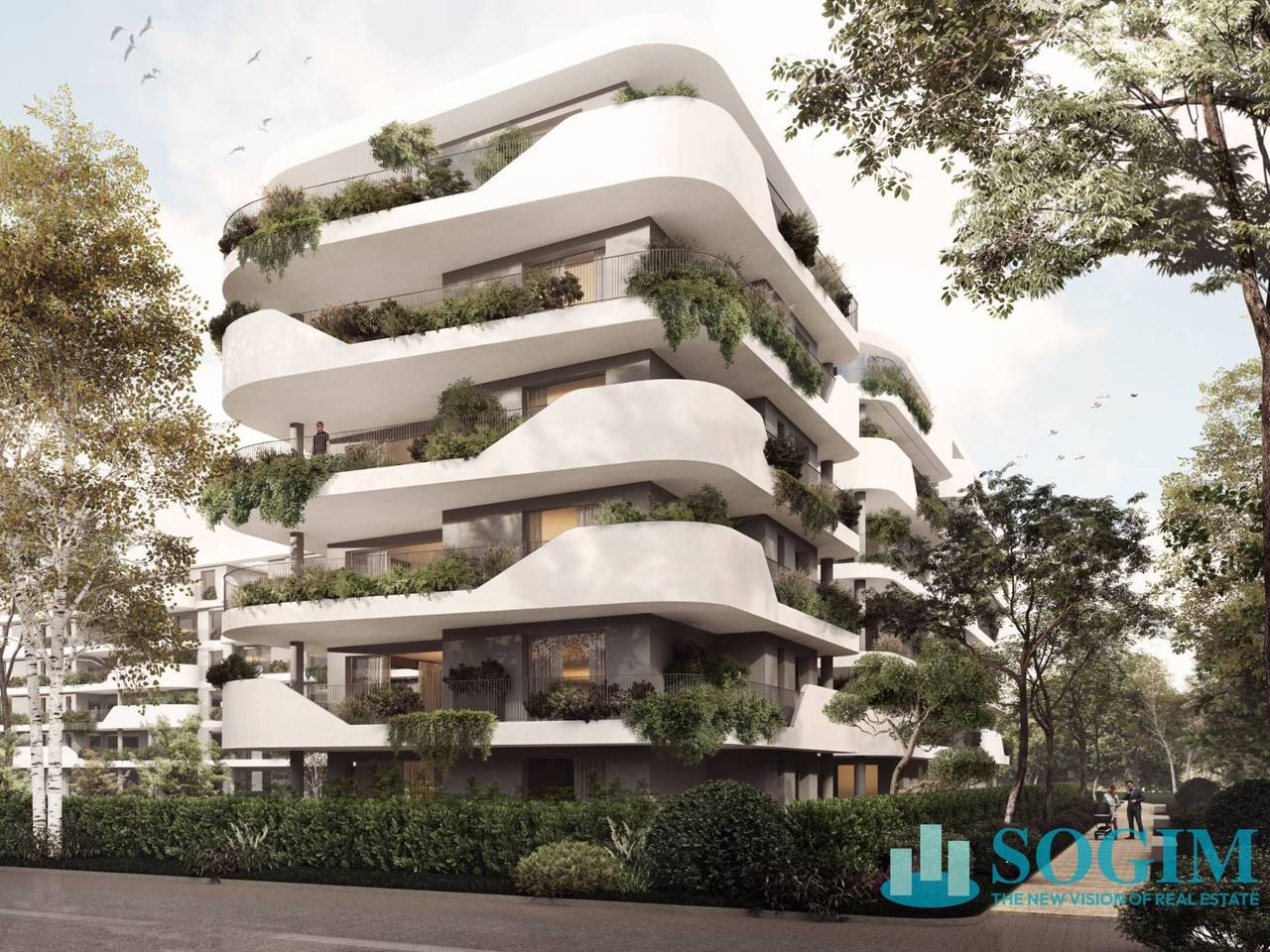 immagine annuncio 1 di 6