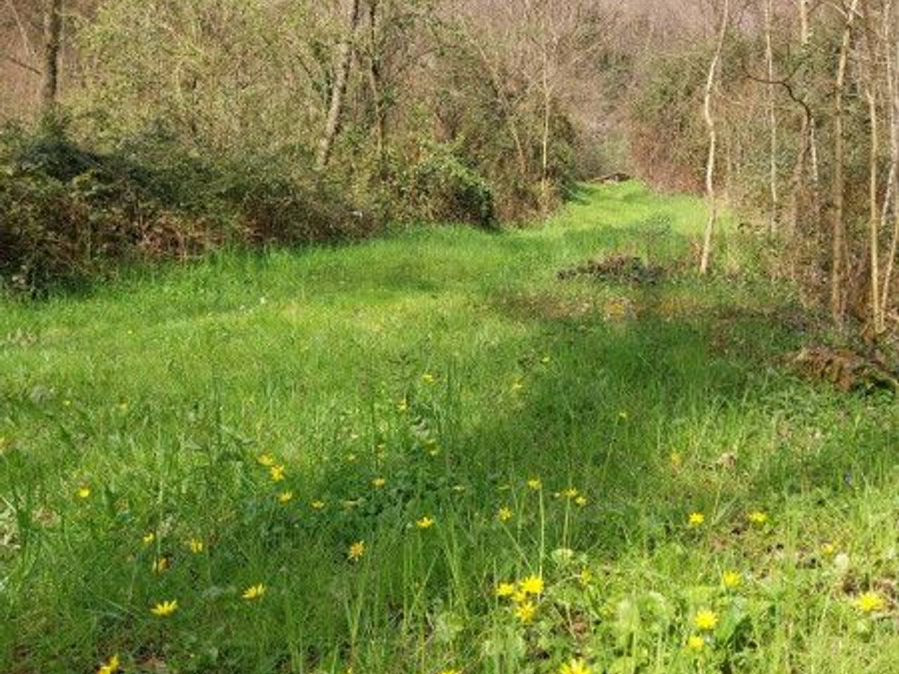 immagine annuncio 5 di 7