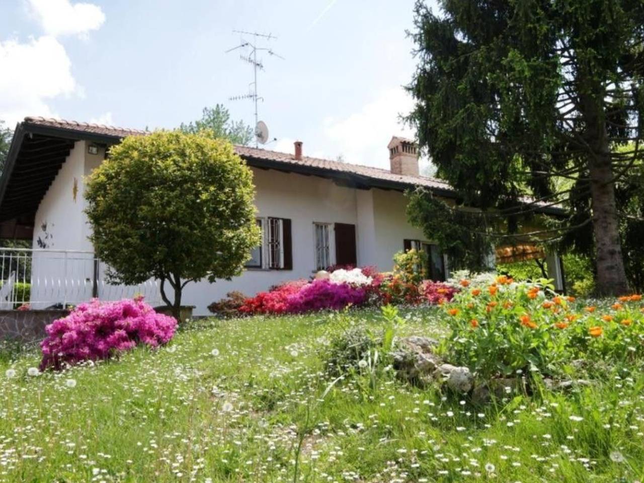 immagine annuncio 3 di 12