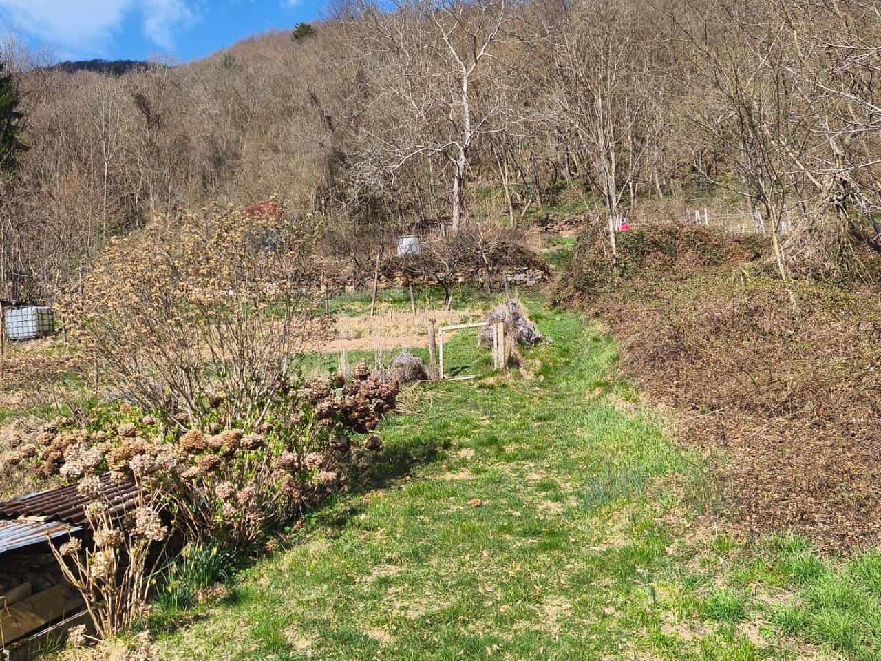 immagine annuncio 8 di 9