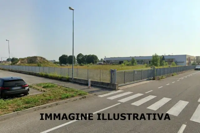 insertion image