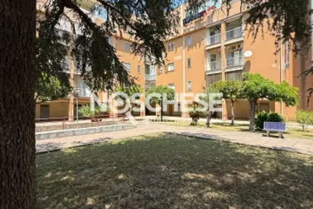 insertion image