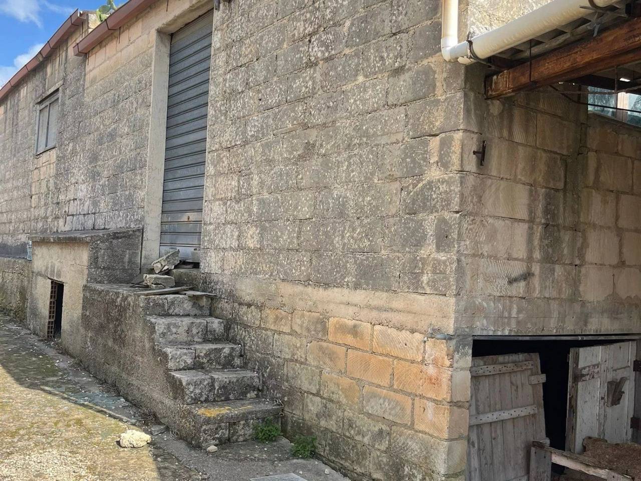 immagine annuncio 1 di 14