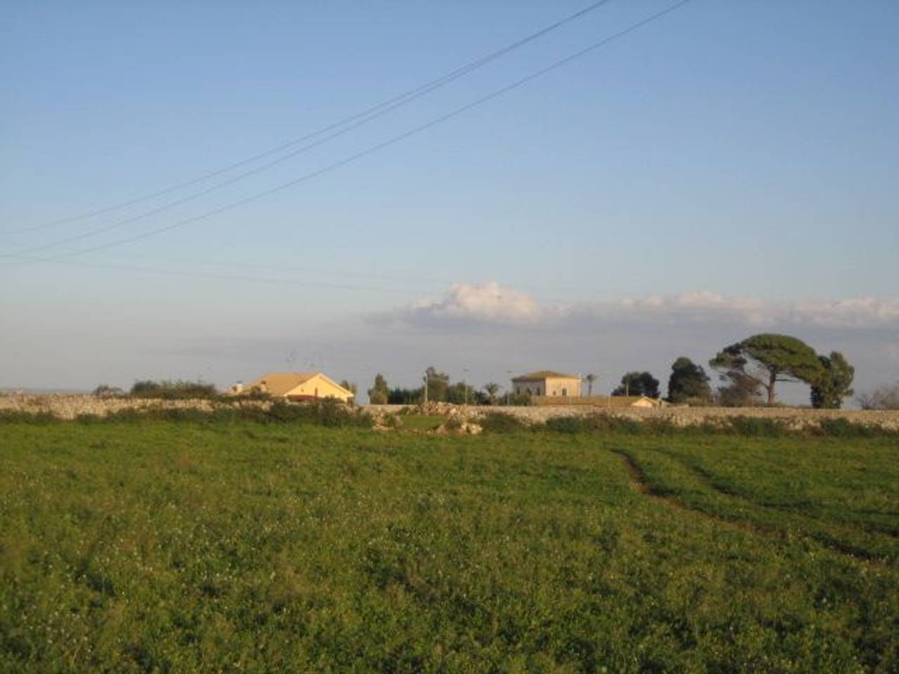 immagine annuncio 6 di 9