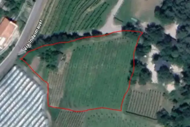 insertion image