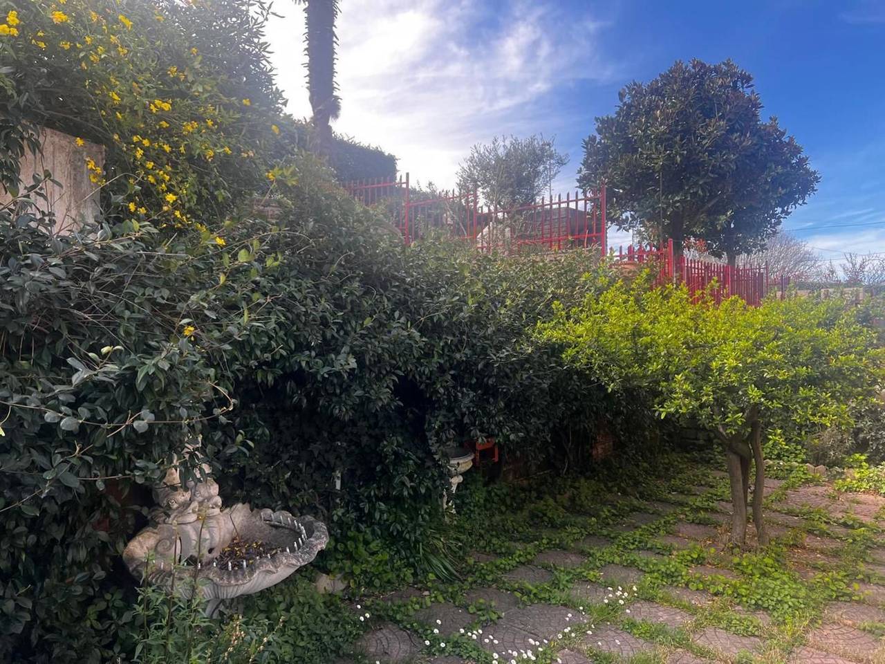 immagine annuncio 13 di 15