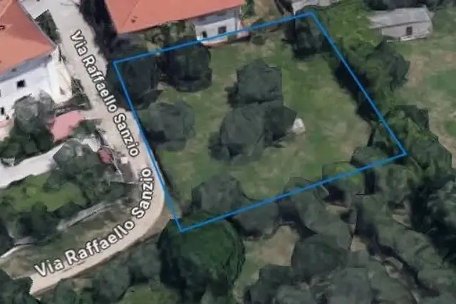 insertion image
