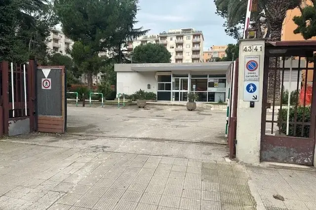 insertion image