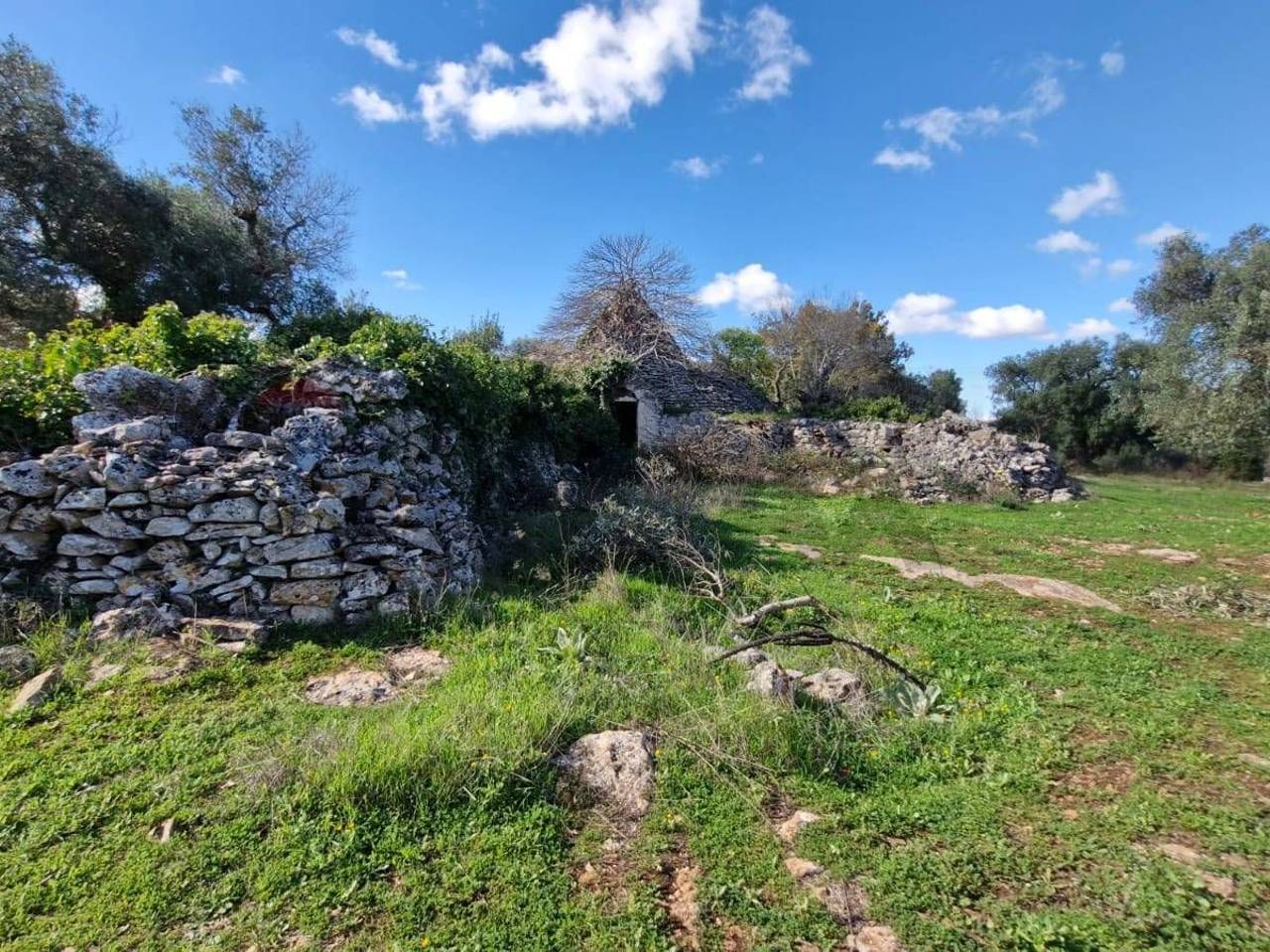 immagine annuncio 2 di 10