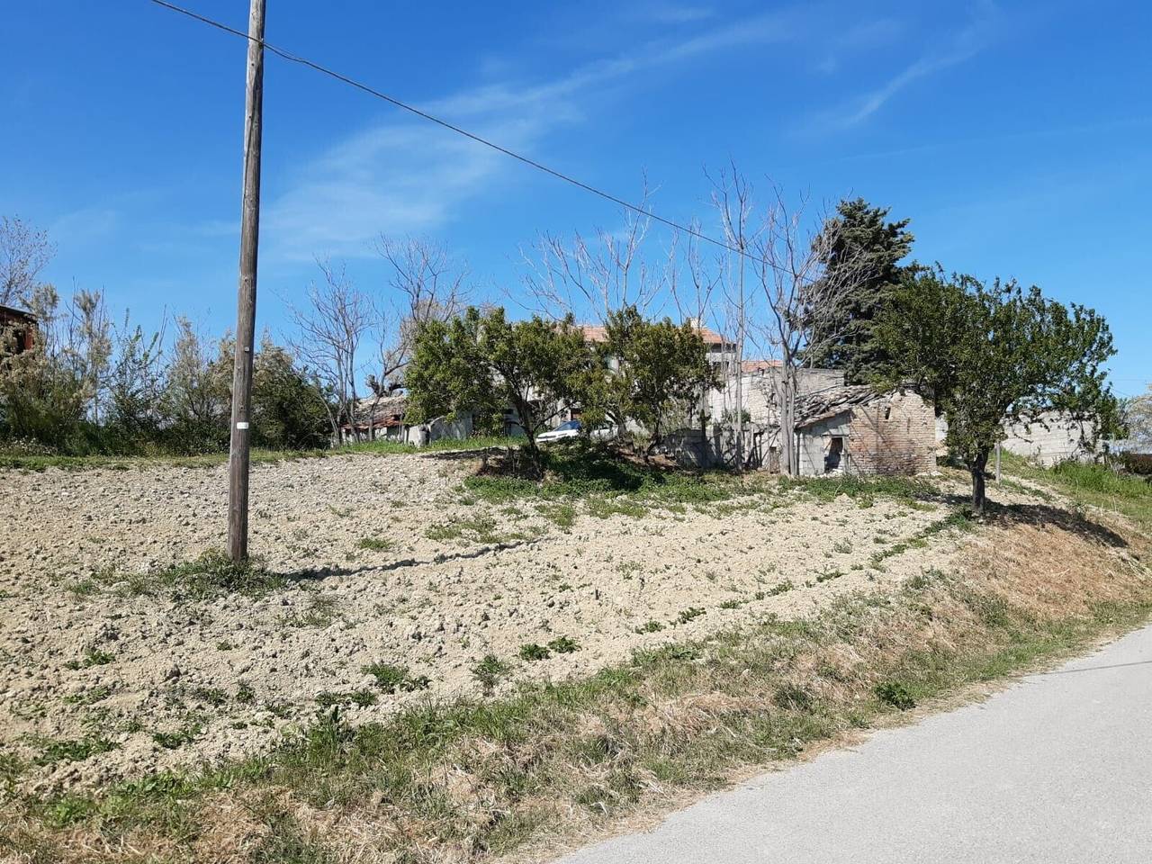 immagine annuncio 1 di 12