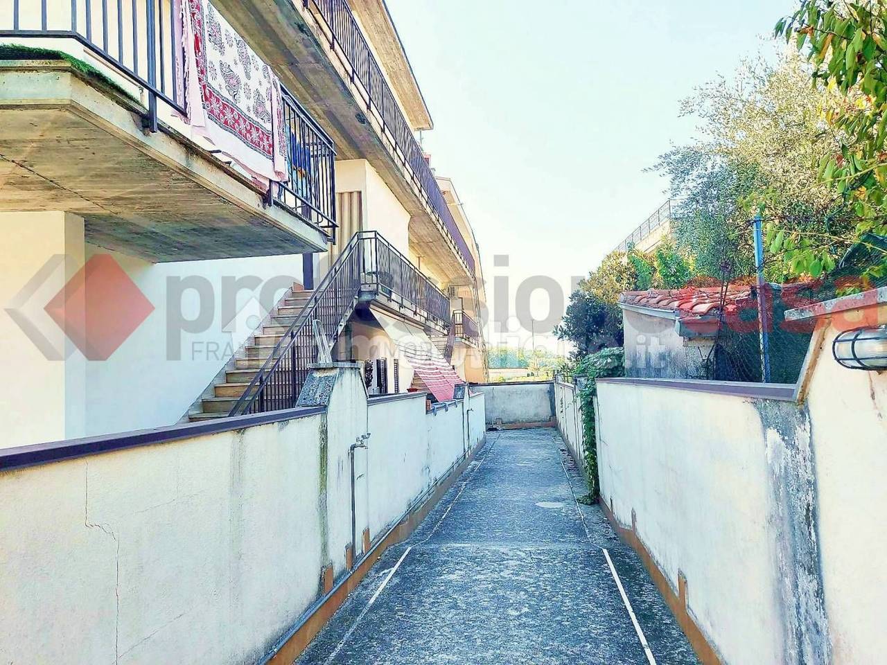 immagine annuncio 9 di 14