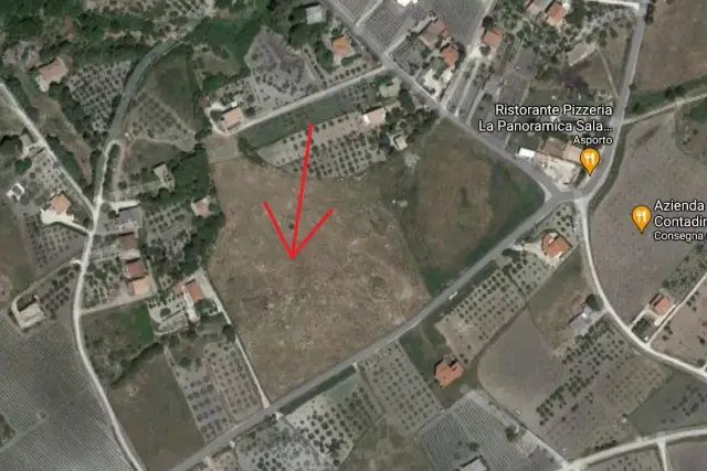 insertion image