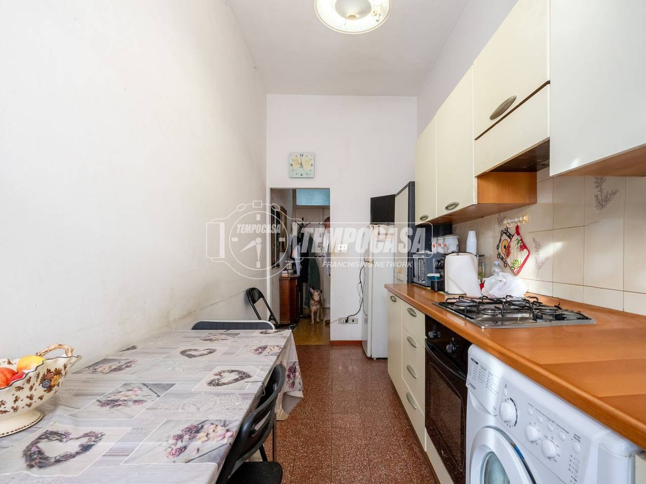 immagine annuncio 7 di 11