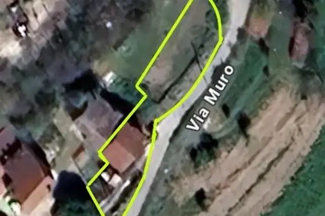 insertion image