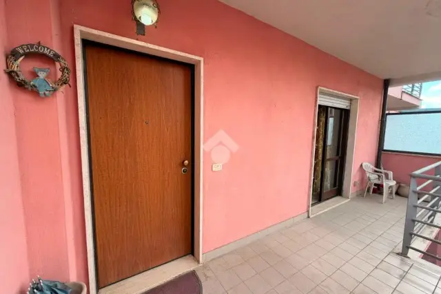 insertion image