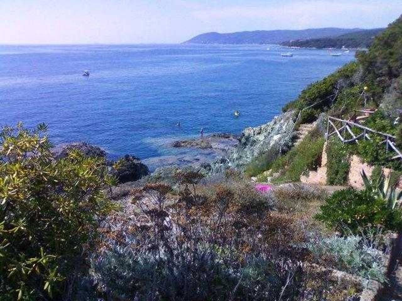 immagine annuncio 1 di 8