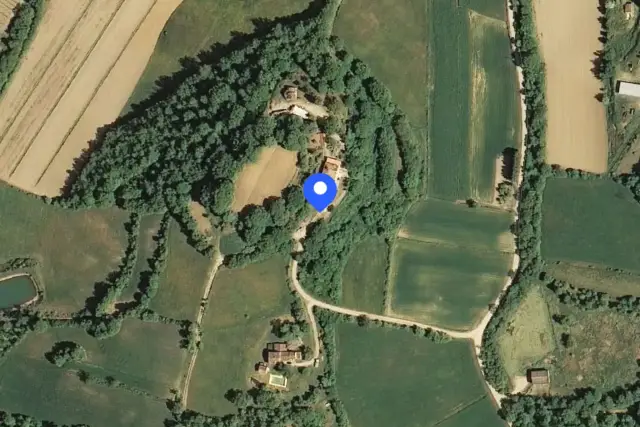 insertion image