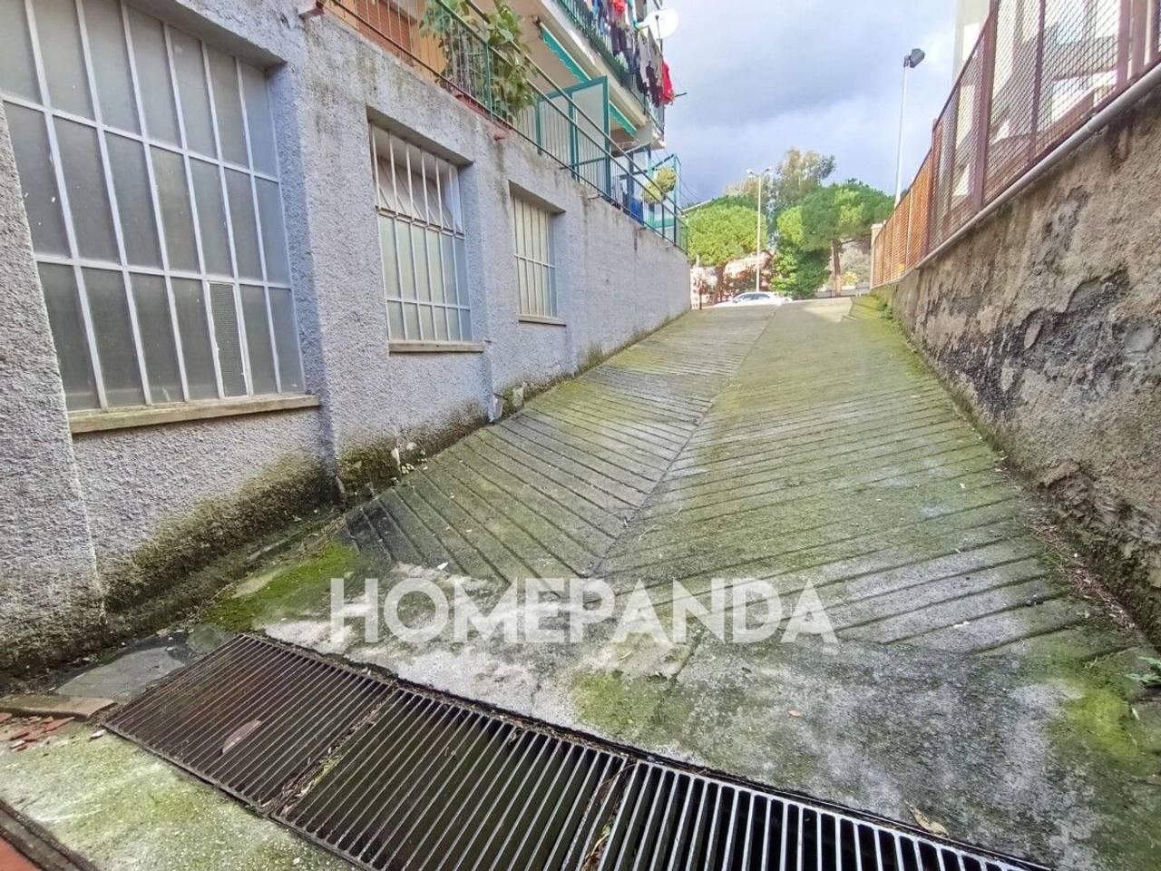 immagine annuncio 11 di 14