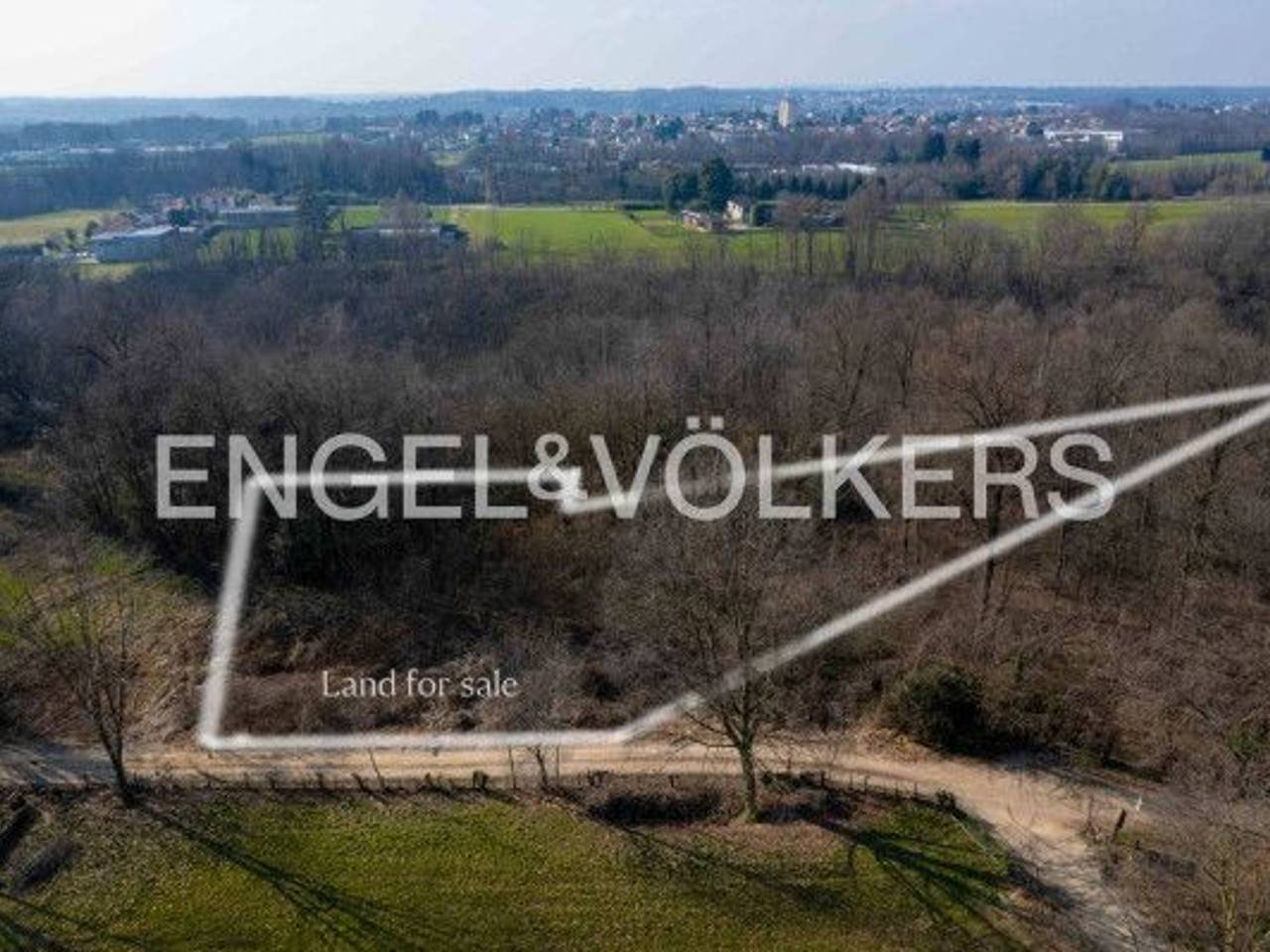 immagine annuncio 1 di 8