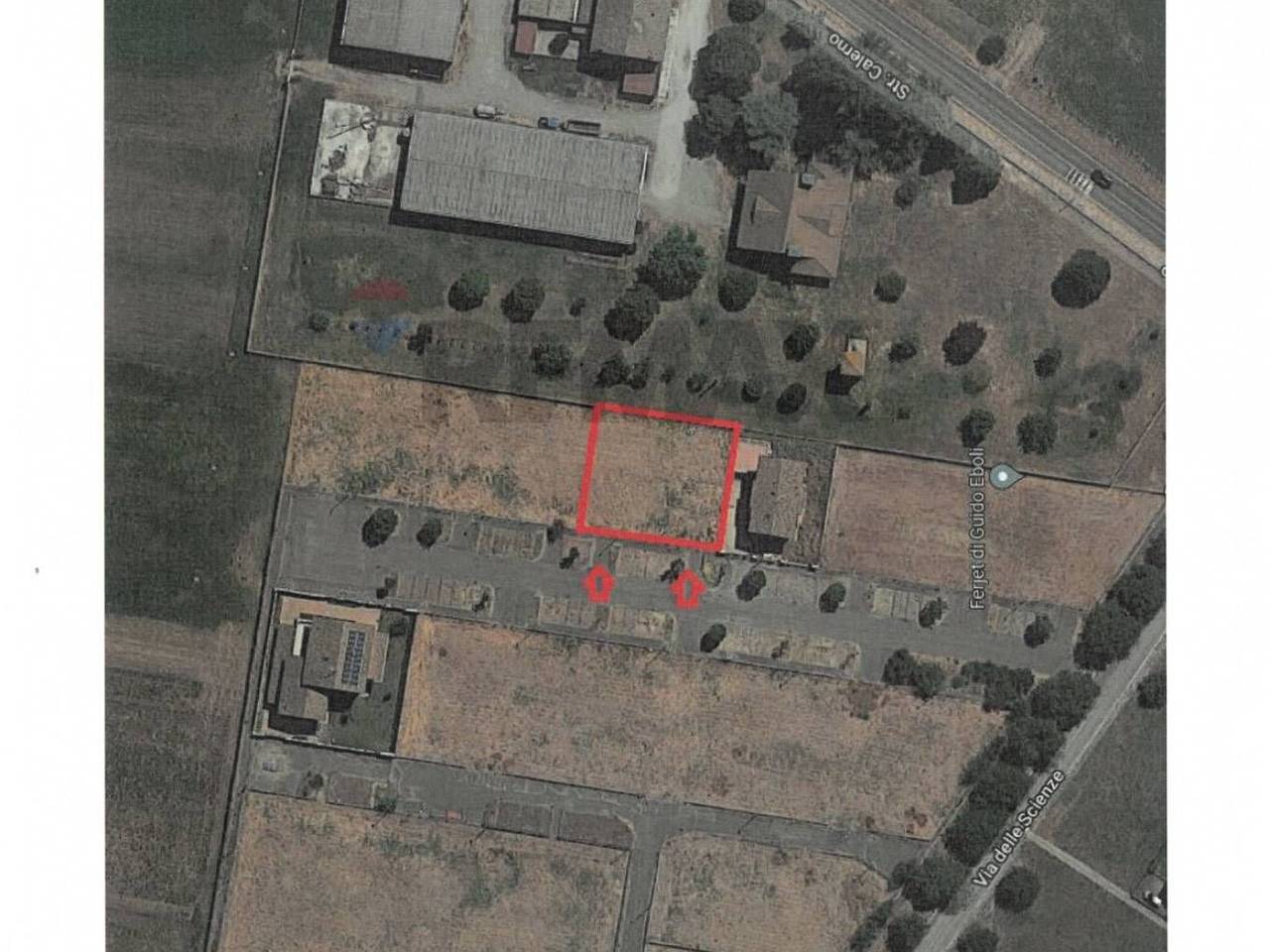 immagine annuncio 1 di 14