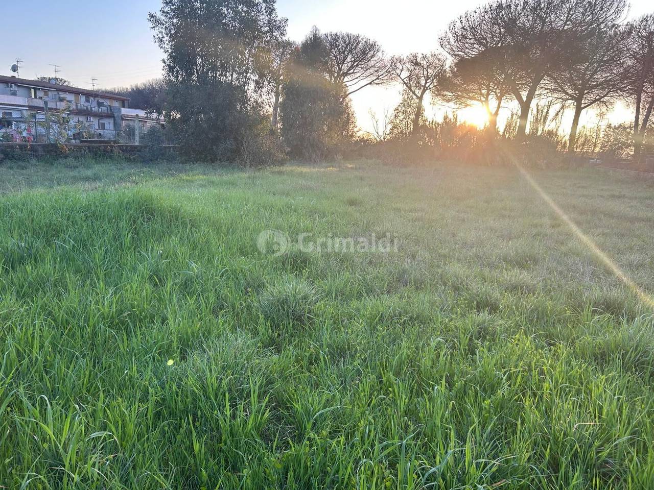 immagine annuncio 5 di 14