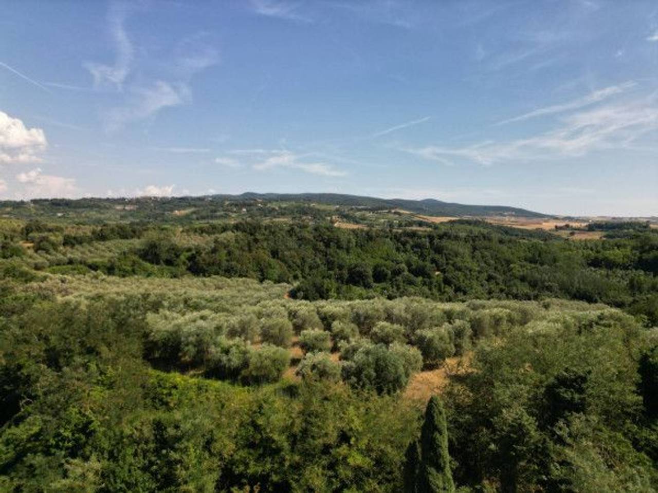 immagine annuncio 12 di 13