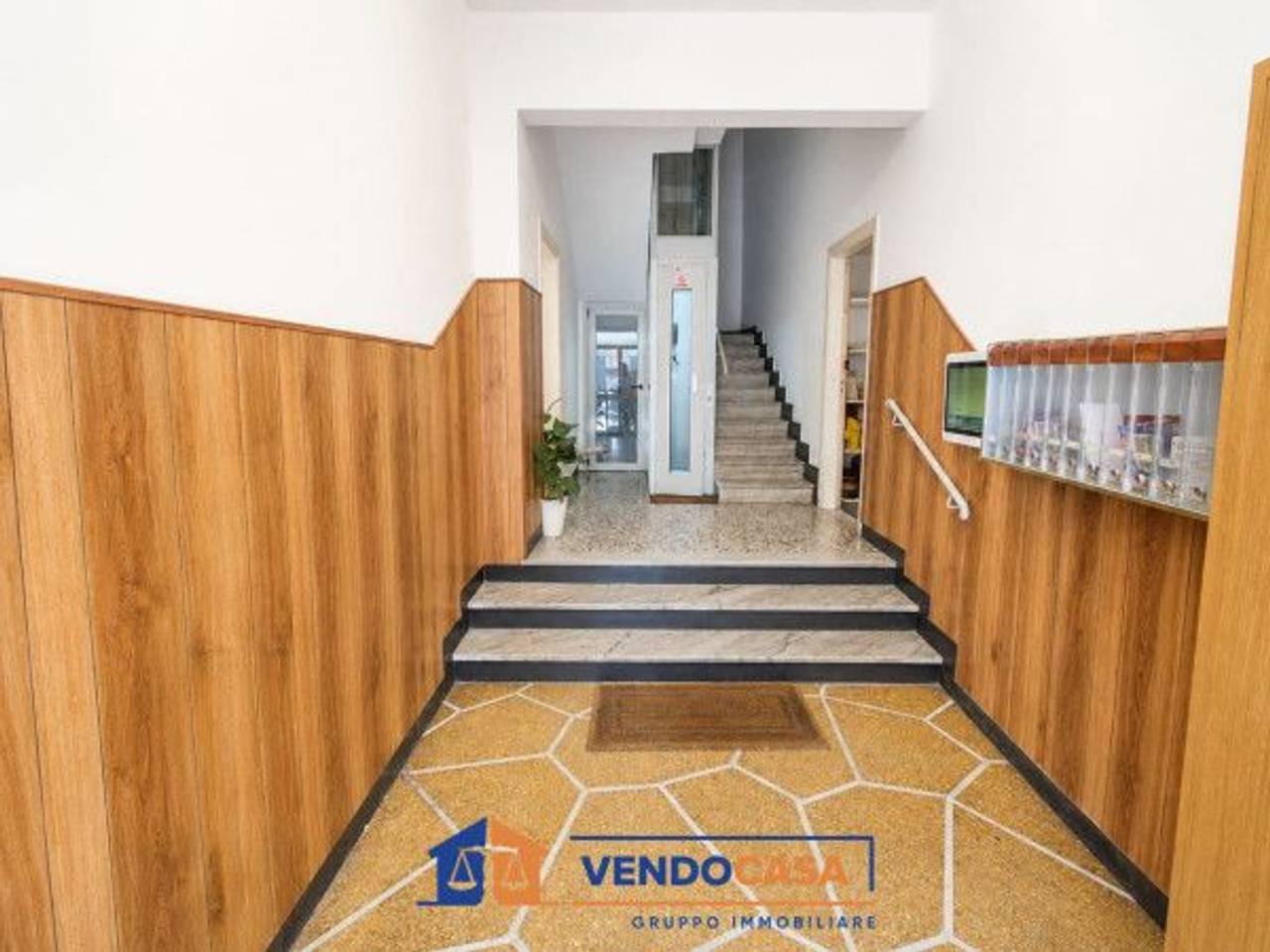 immagine annuncio 9 di 12