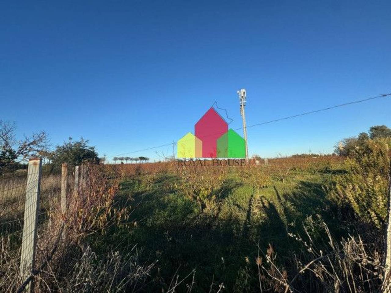 immagine annuncio 10 di 12