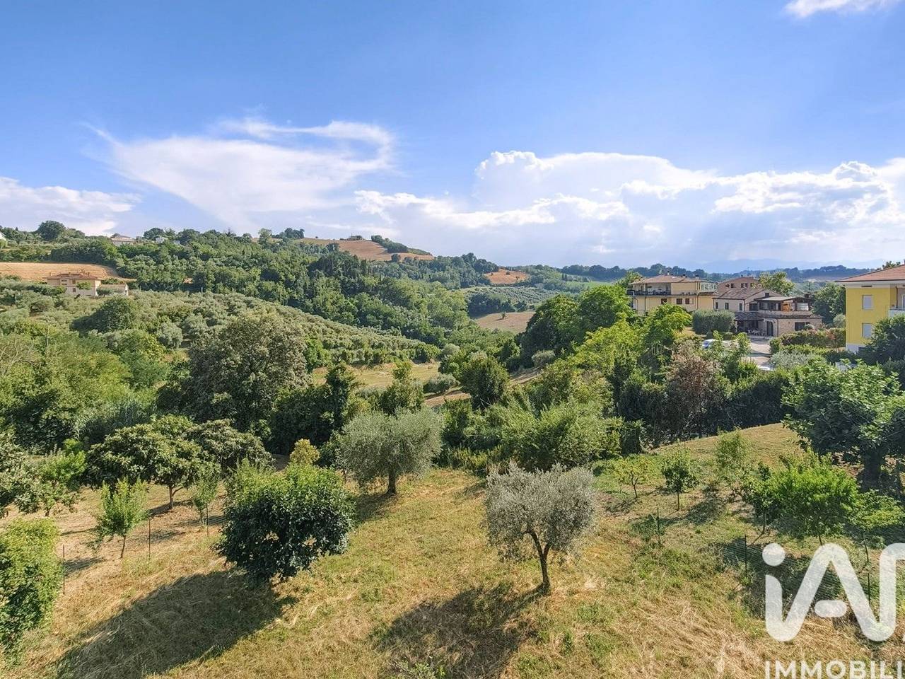 immagine annuncio 11 di 15