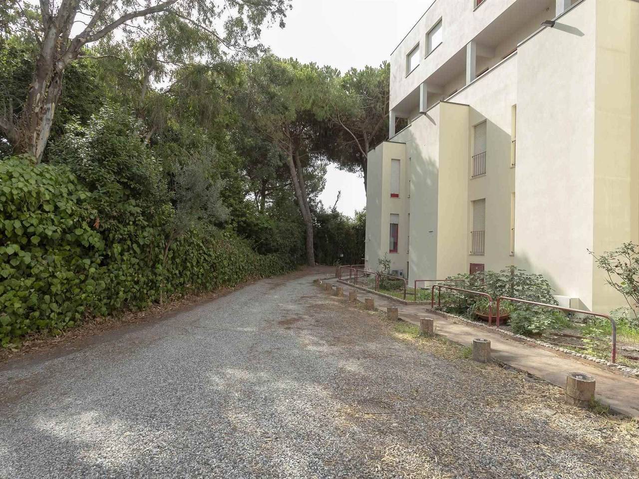 immagine annuncio 10 di 12