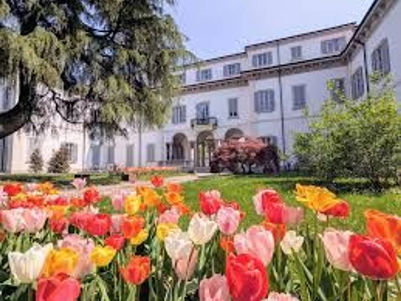 immagine annuncio 4 di 8