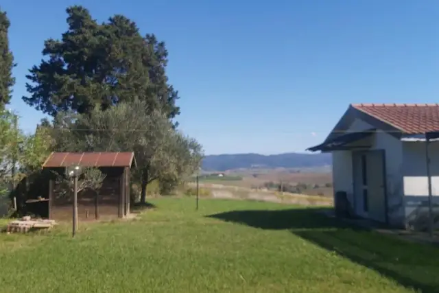 Terreno agricolo, Rosignano Marittimo - Foto 1