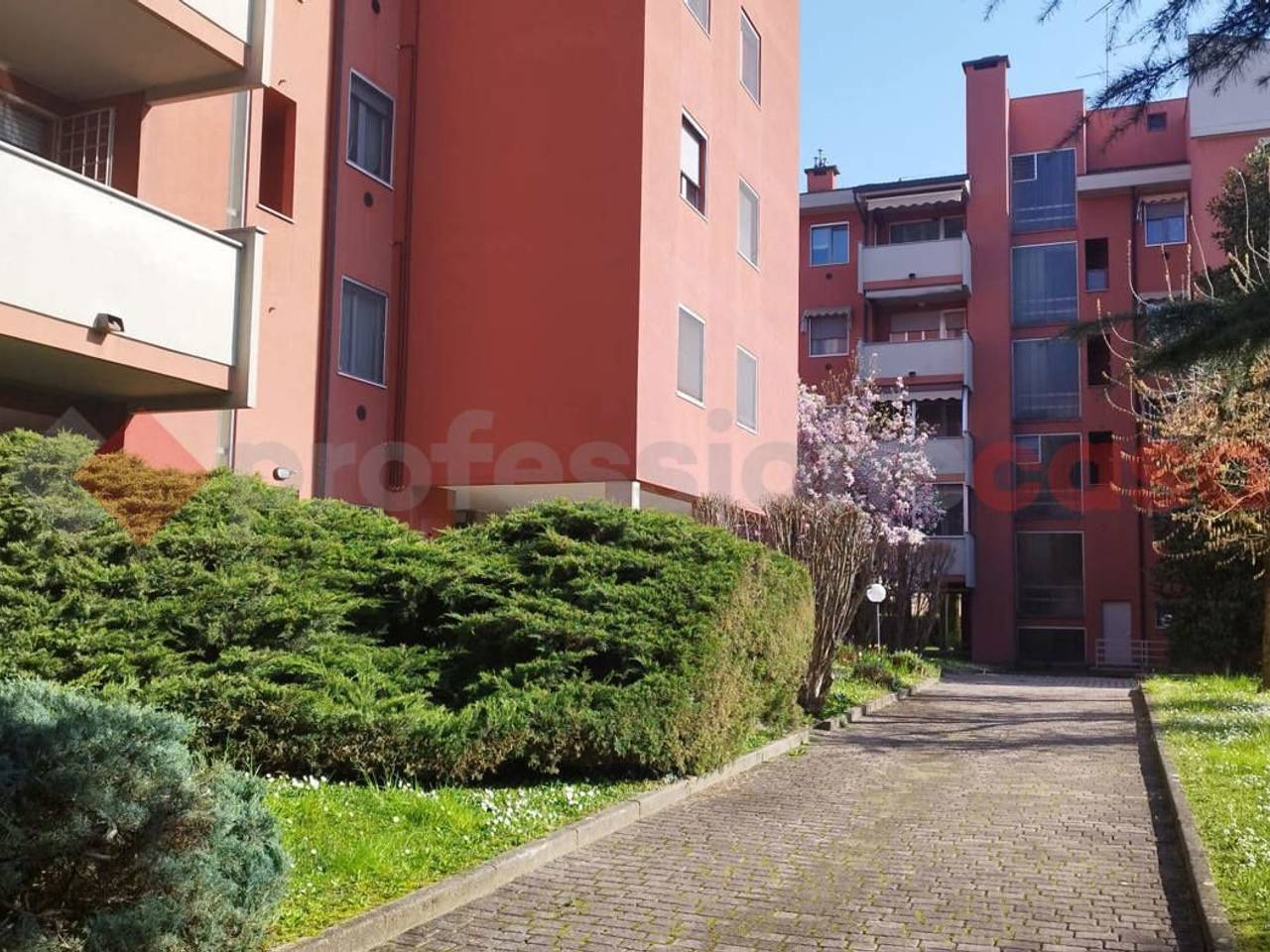 immagine annuncio 2 di 7