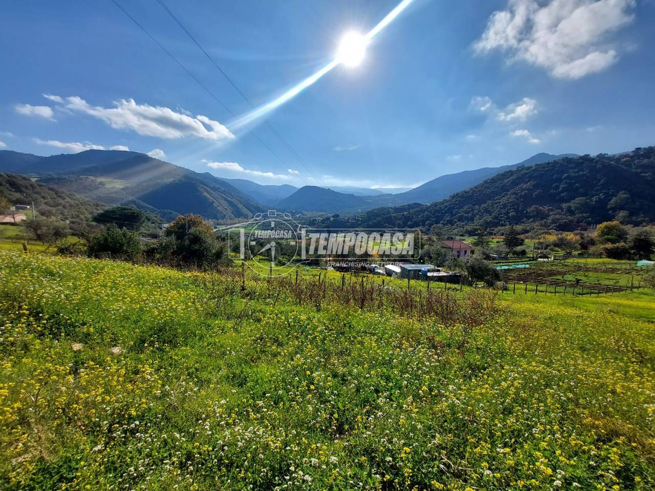 immagine annuncio 9 di 12