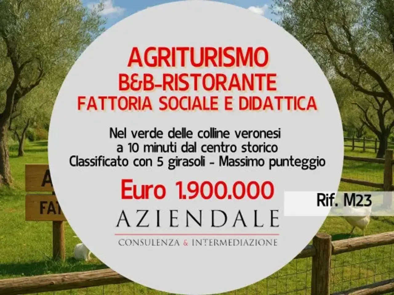 Agriturismo in Stradone Porta Palio 74/B, Verona, {3} - Foto 1