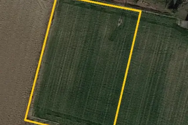 insertion image