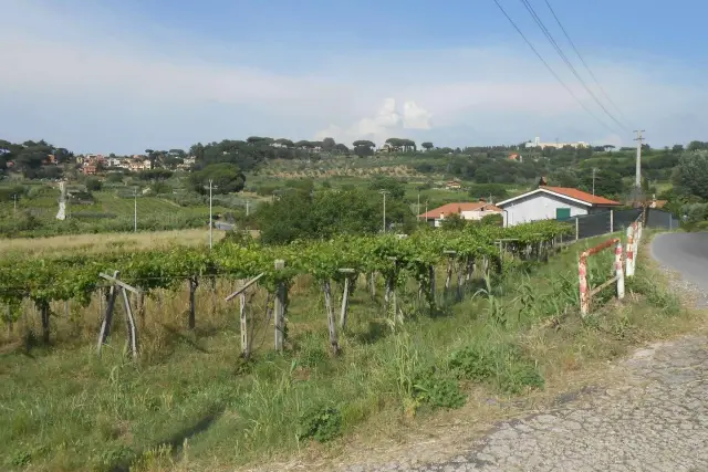 Terreno agricolo in Via Valle Marciana, Grottaferrata - Foto 1