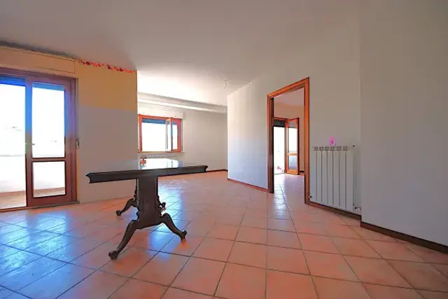 insertion image