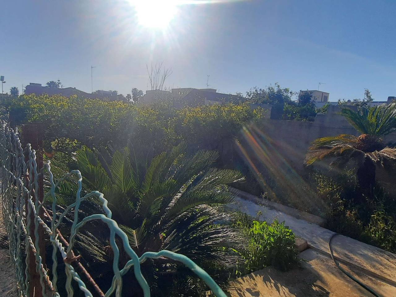 immagine annuncio 10 di 13