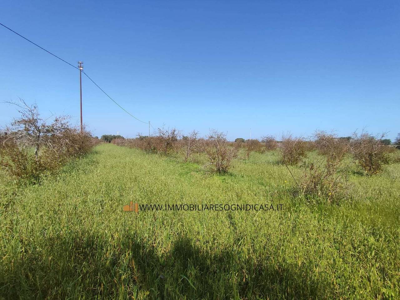 immagine annuncio 8 di 11